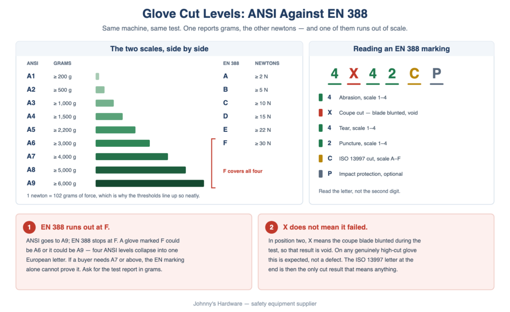 Glove Cut Levels Explained: ANSI A1 to A9 and EN 388