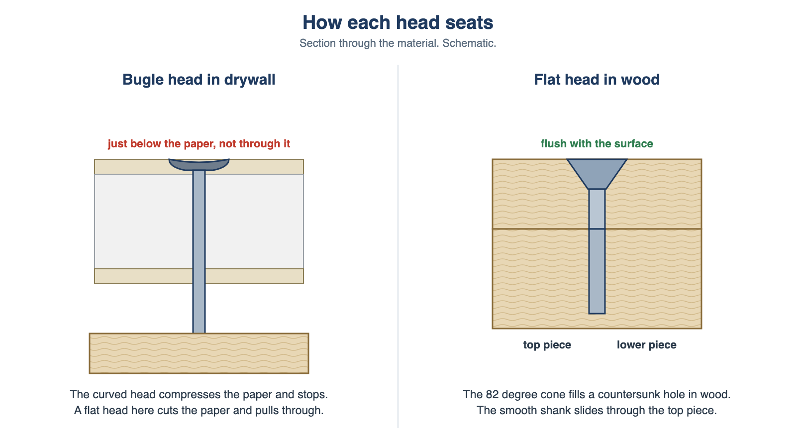 Section drawing of a bugle head drywall screw seating just below the paper face and a flat head wood screw seating flush in a countersunk hole in wood