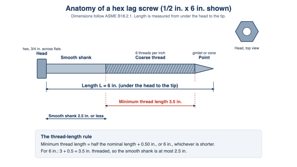 What Is a Lag Bolt? Lag Screw vs Lag Bolt, Sizes and Uses