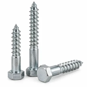 Lag Screws / Lag Bolts