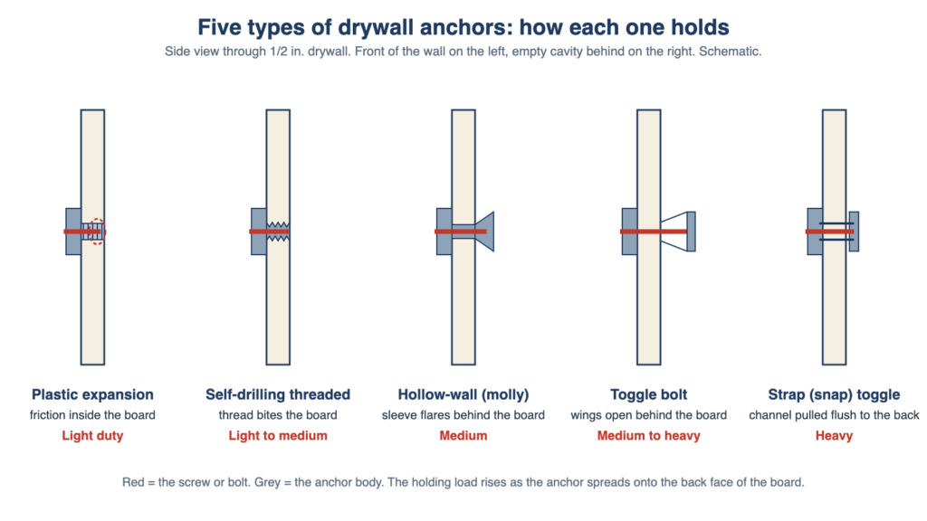 Types of Drywall Anchors and How Much Weight Each Holds