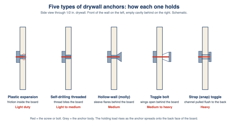 Types of Drywall Anchors and How Much Weight Each Holds