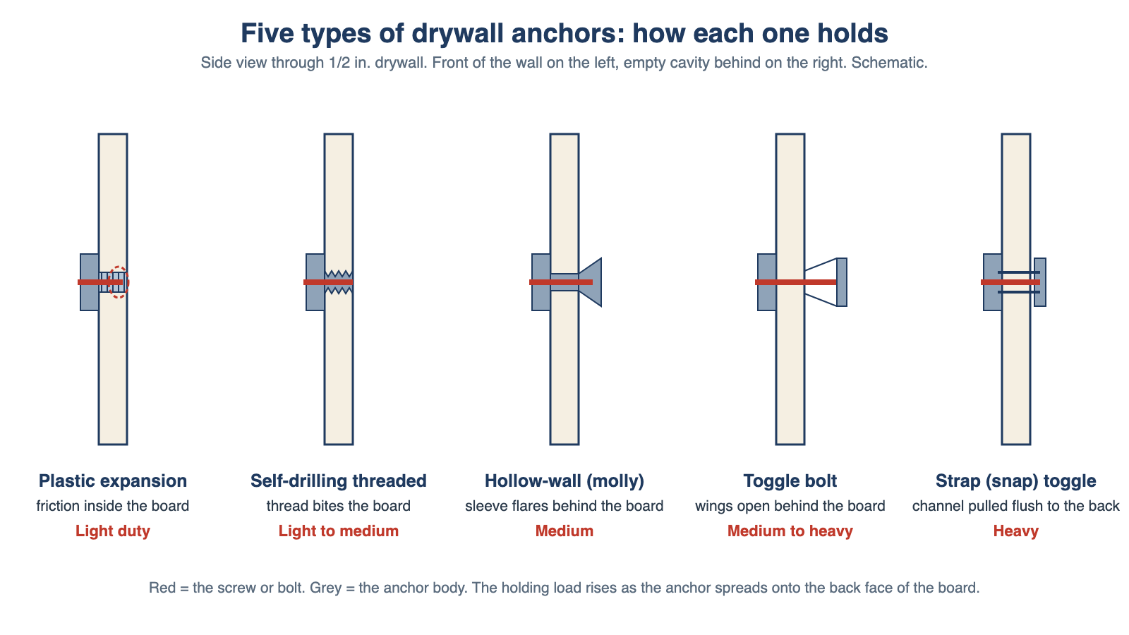 Types of drywall anchors cross-section diagram: plastic expansion, self-drilling threaded, hollow-wall molly, toggle bolt and strap toggle anchors in 1/2 inch drywall